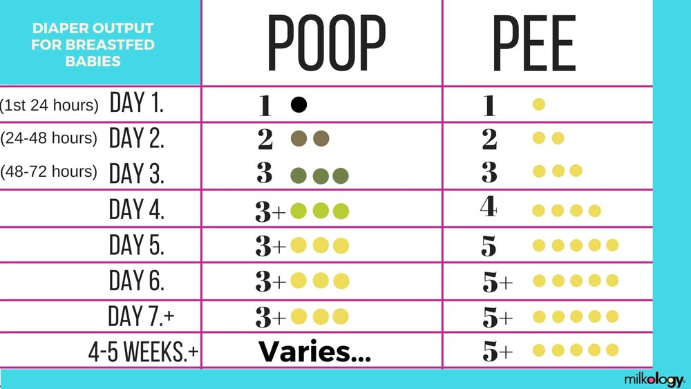 diaper chart newborn