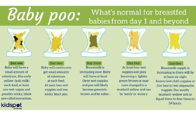 breastfed baby poop chart